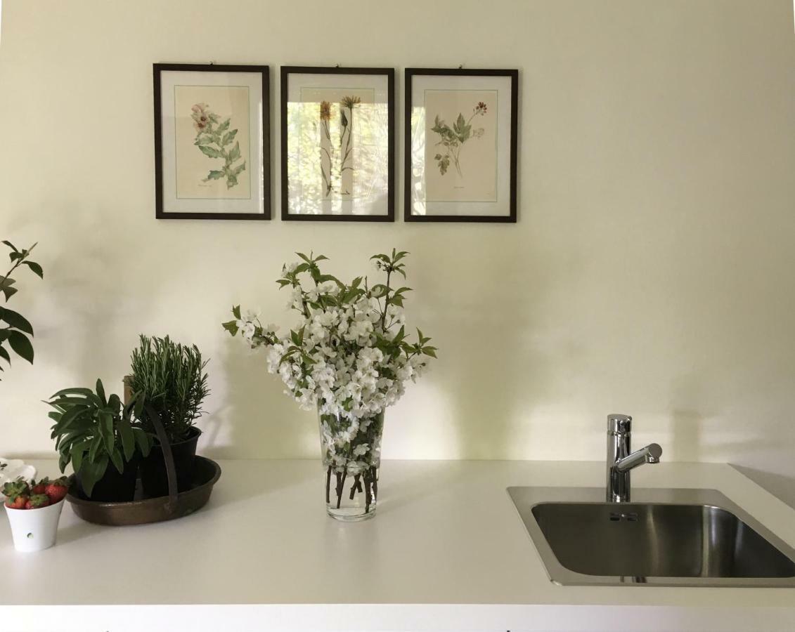 Apartmán House&Garden San Donato Milanese Exteriér fotografie